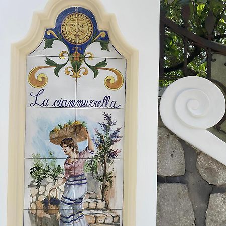 B&B La Ciammurrella อนากาปรี ภายนอก รูปภาพ