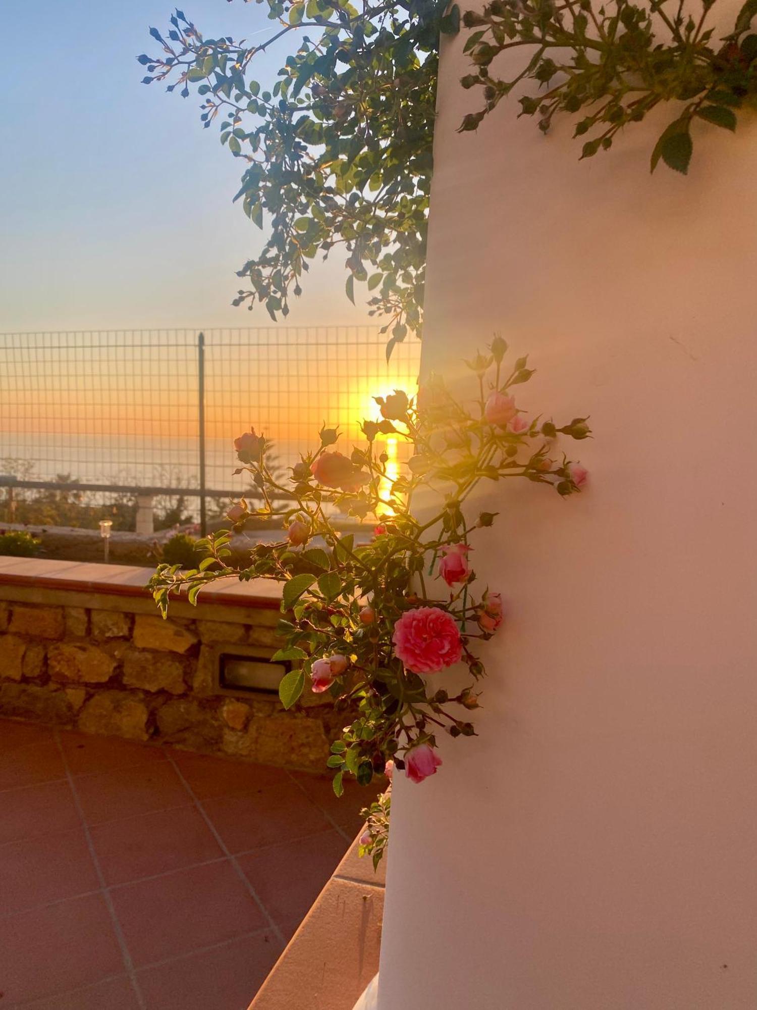 B&B La Ciammurrella อนากาปรี ภายนอก รูปภาพ