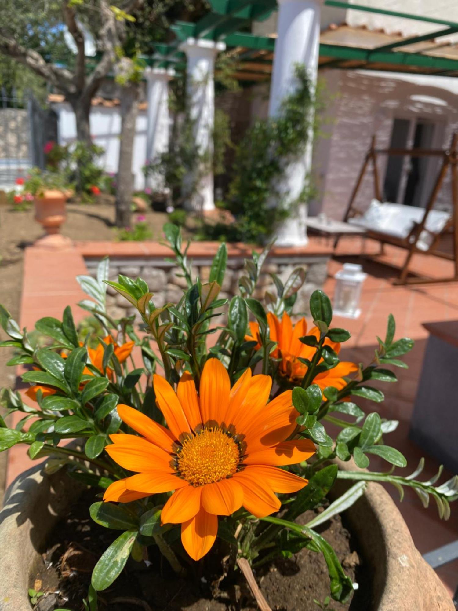 B&B La Ciammurrella อนากาปรี ภายนอก รูปภาพ
