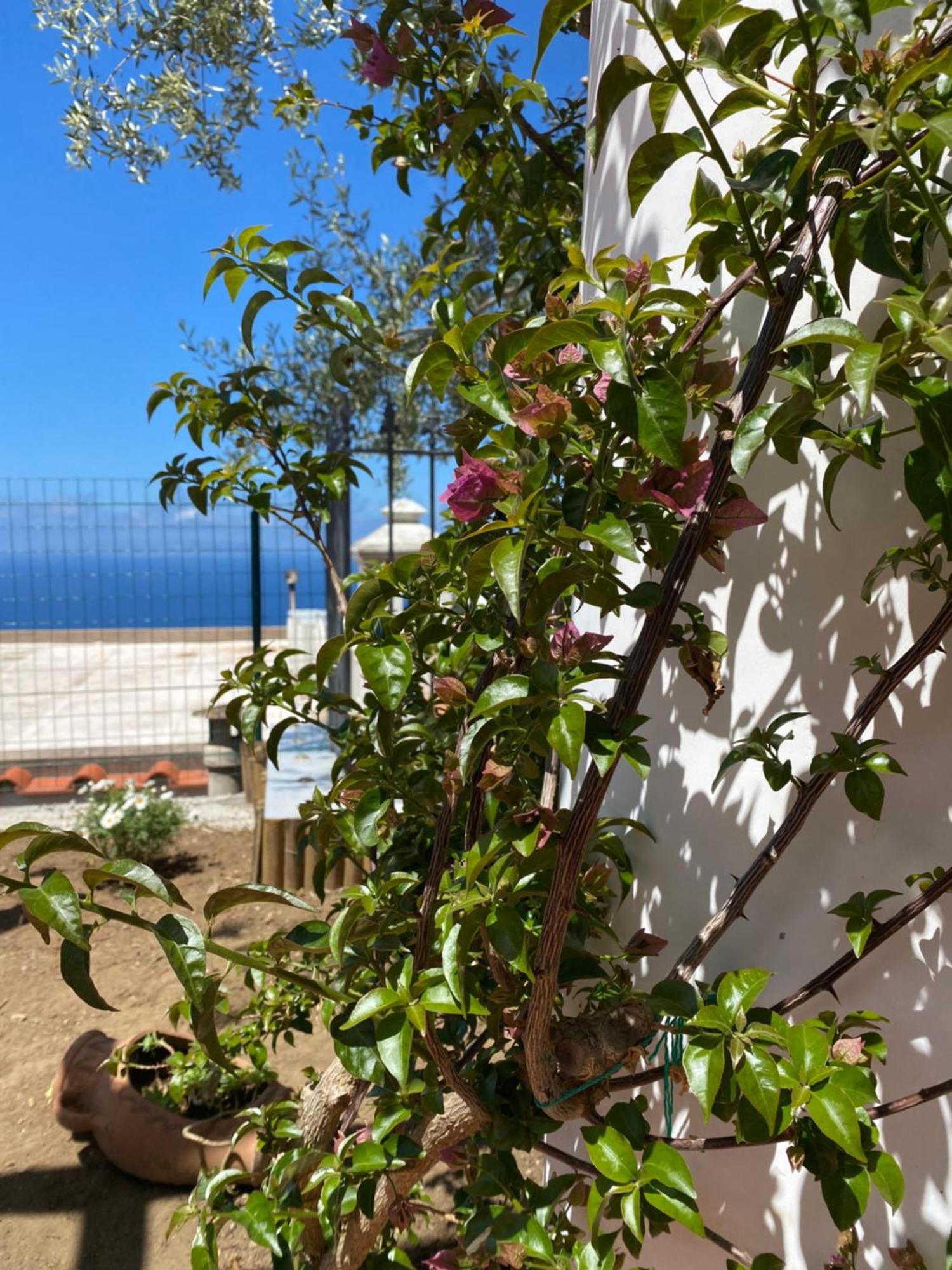 B&B La Ciammurrella อนากาปรี ภายนอก รูปภาพ